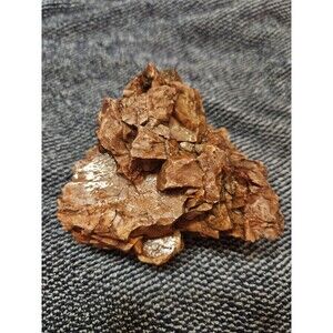 RARE Petrified Opalized Wood Display Piece Smokey Red Maroon Opal Eastern Wa